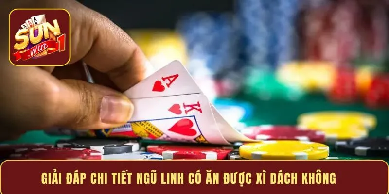 Giải đáp chi tiết Ngũ Linh có ăn được Xì Dách không